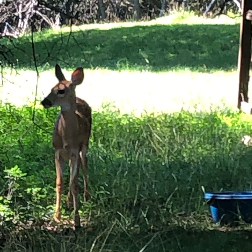Meet your Posher, Mandy